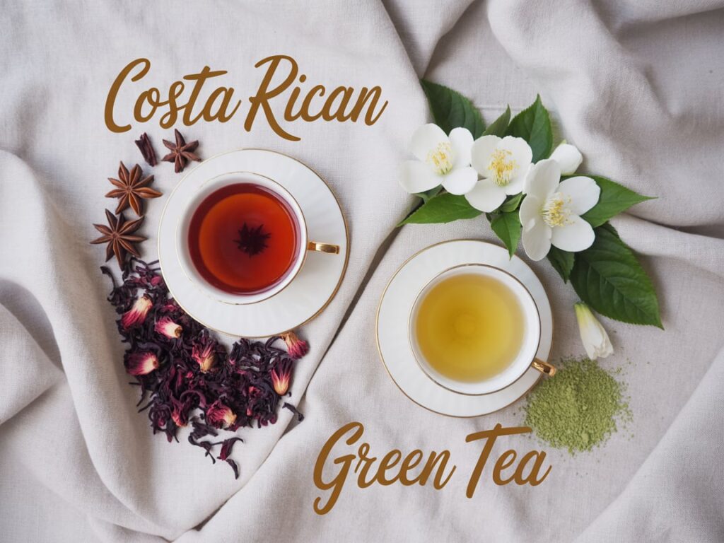Costa Rican Tea Recipe – The Best Belly Fat Burner Ever 8 Costa Rican tea vs green tea comparison